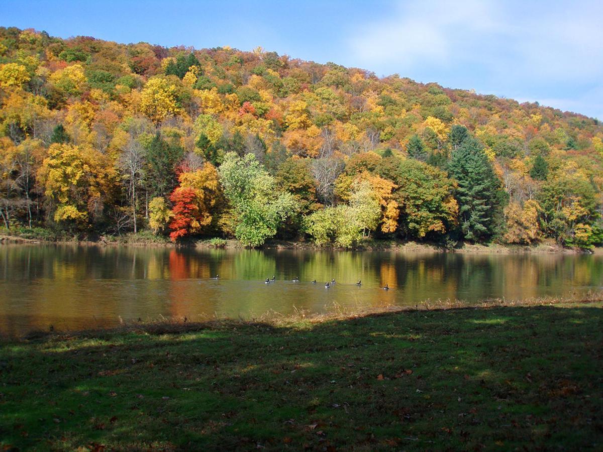 Spacious Home With Deck, Grill And Delaware River View Callicoon Exteriör bild